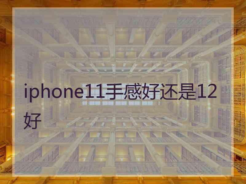 iphone11手感好还是12好