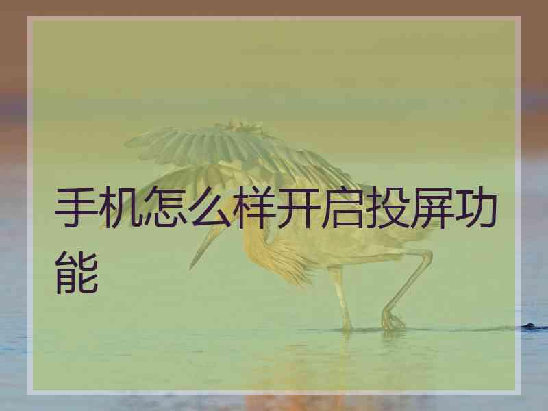 手机怎么样开启投屏功能