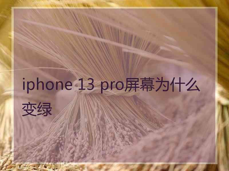 iphone 13 pro屏幕为什么变绿