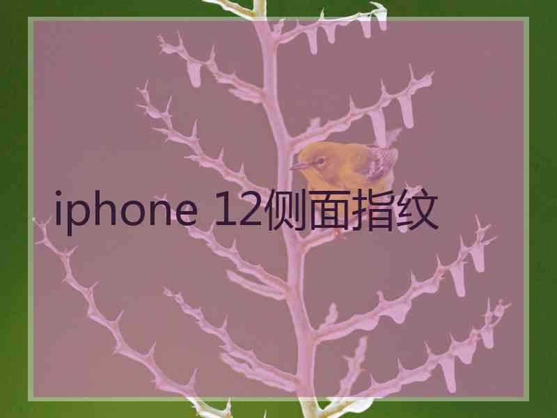 iphone 12侧面指纹