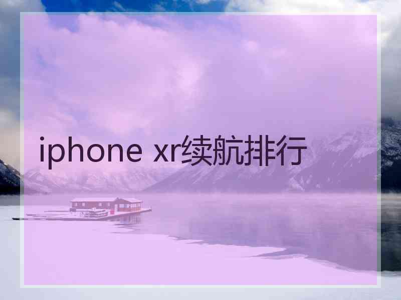 iphone xr续航排行