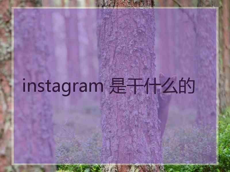 instagram 是干什么的