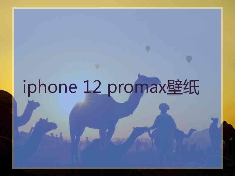 iphone 12 promax壁纸