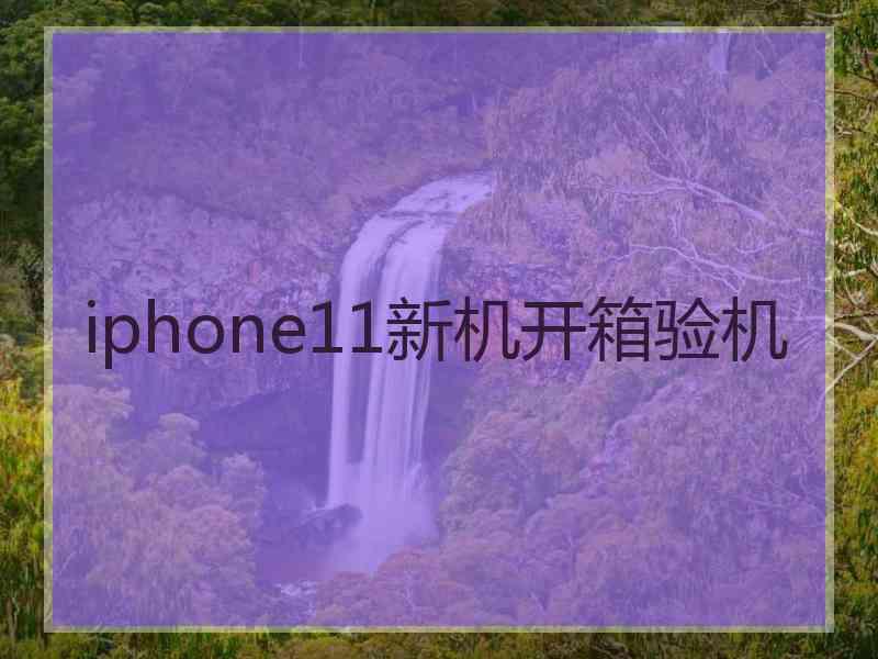 iphone11新机开箱验机