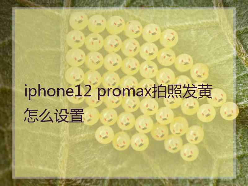 iphone12 promax拍照发黄怎么设置