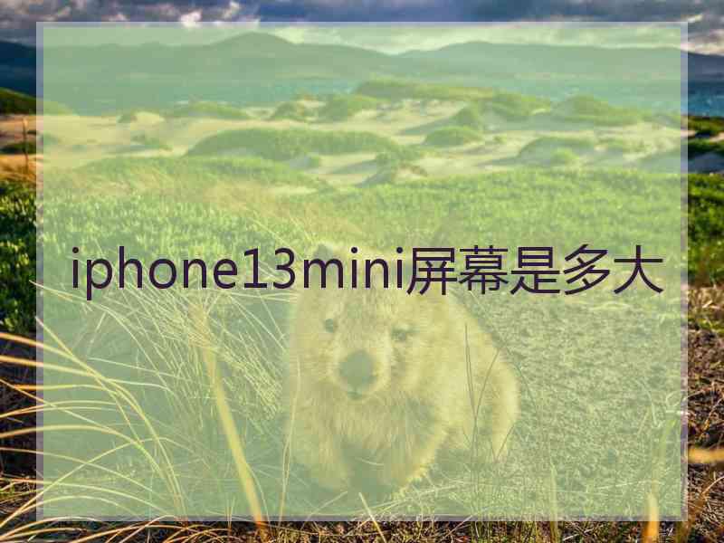 iphone13mini屏幕是多大