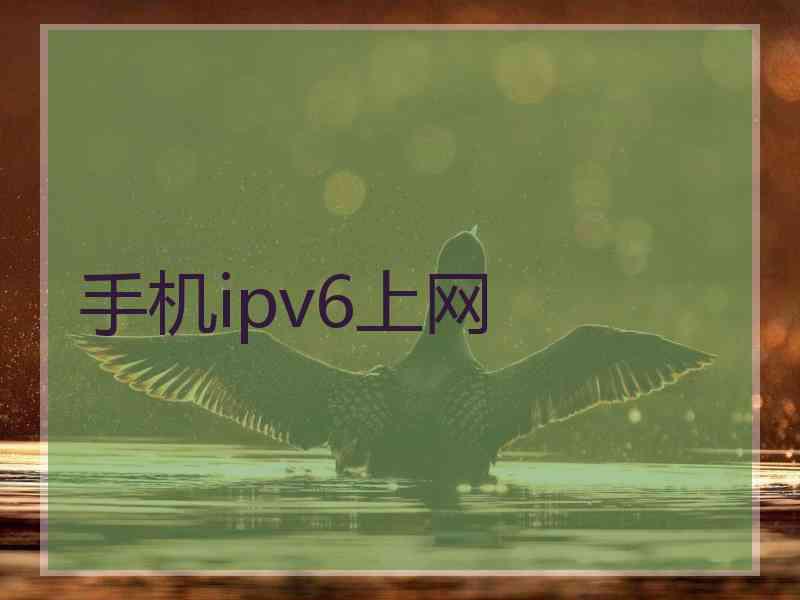 手机ipv6上网