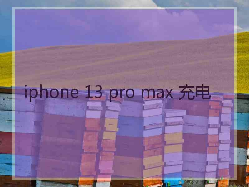 iphone 13 pro max 充电