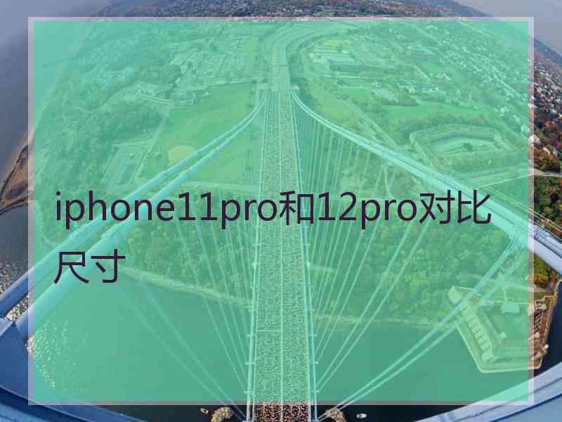 iphone11pro和12pro对比尺寸