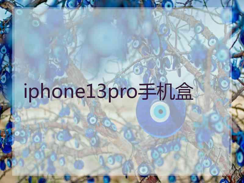 iphone13pro手机盒