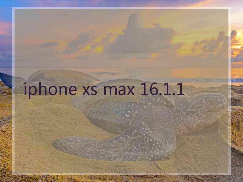 iphone xs max 16.1.1