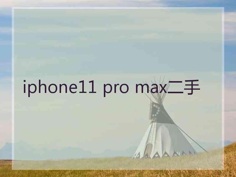 iphone11 pro max二手