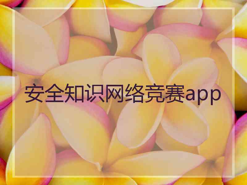 安全知识网络竞赛app