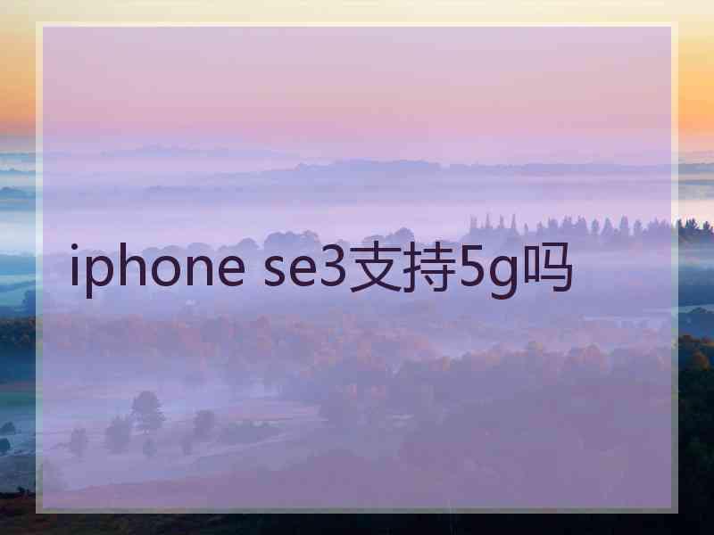 iphone se3支持5g吗