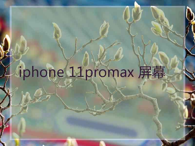 iphone 11promax 屏幕