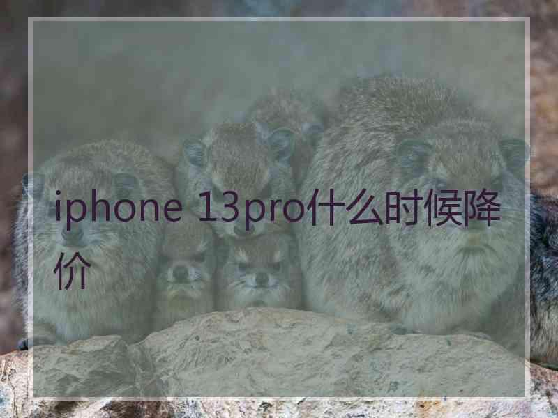 iphone 13pro什么时候降价