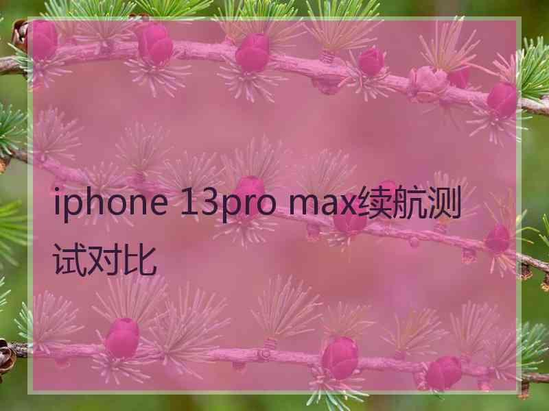 iphone 13pro max续航测试对比