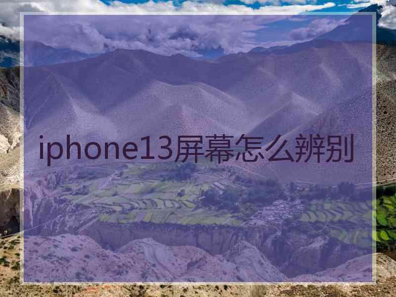 iphone13屏幕怎么辨别