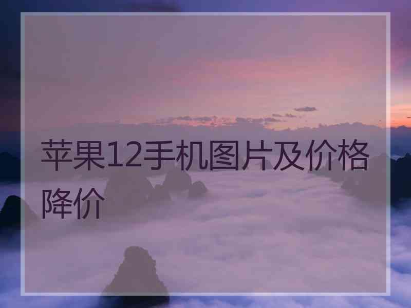 苹果12手机图片及价格降价