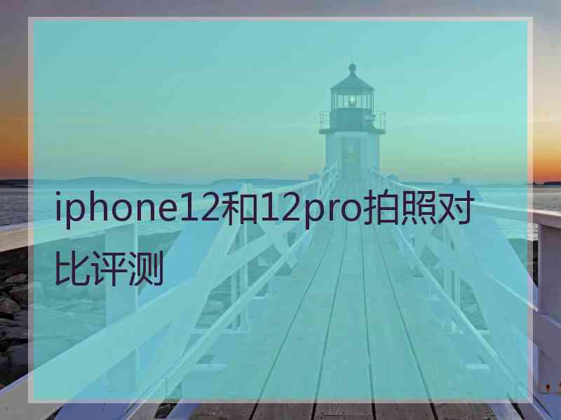 iphone12和12pro拍照对比评测