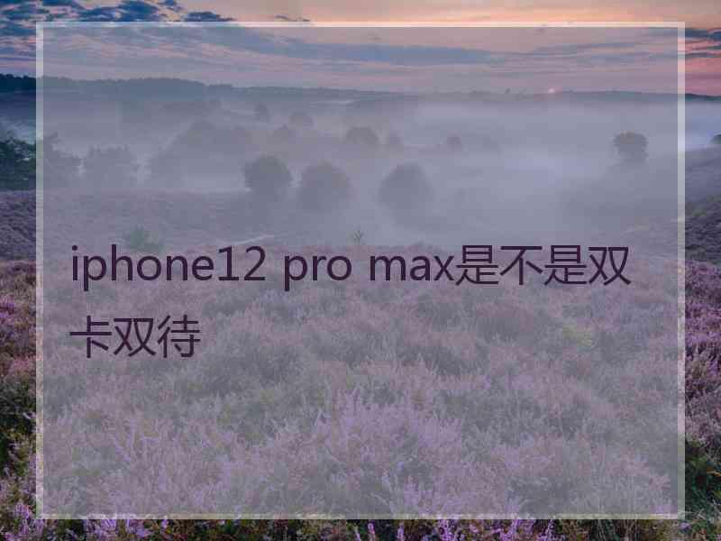 iphone12 pro max是不是双卡双待