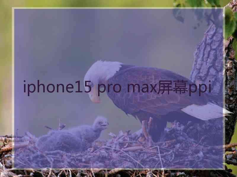 iphone15 pro max屏幕ppi