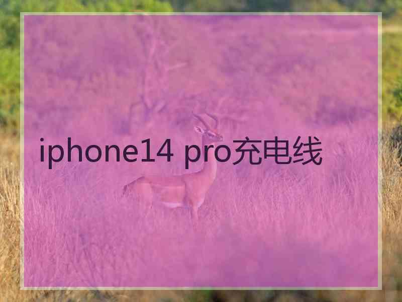 iphone14 pro充电线