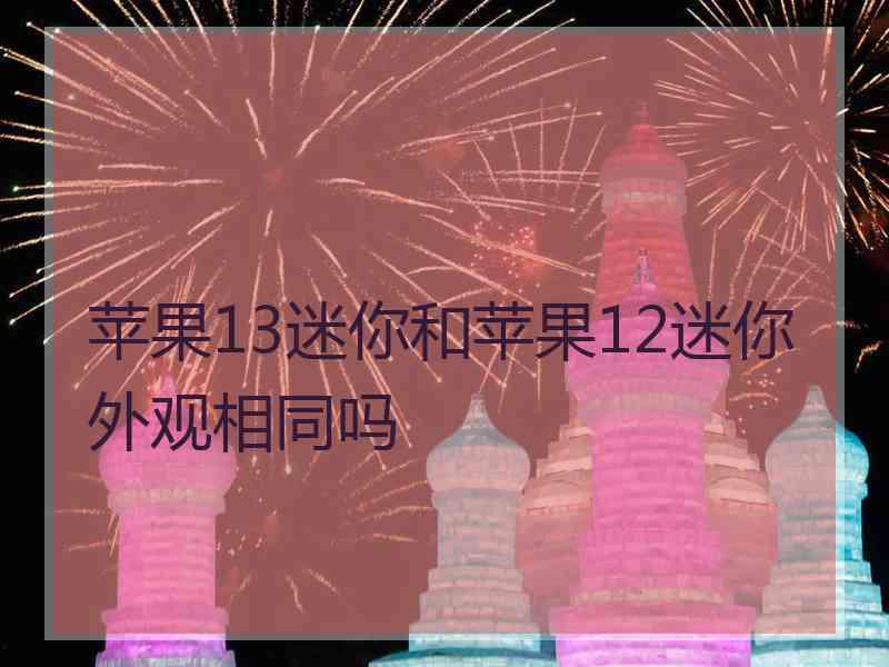 苹果13迷你和苹果12迷你外观相同吗