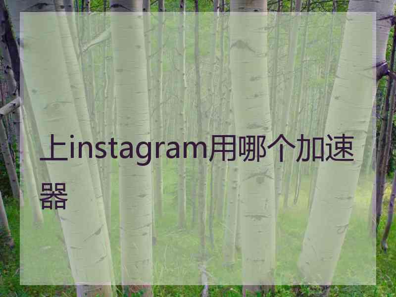 上instagram用哪个加速器