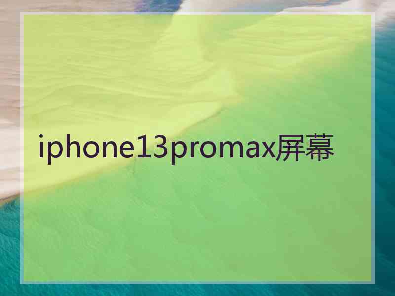 iphone13promax屏幕