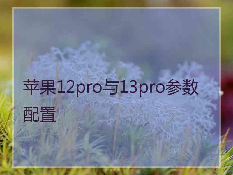 苹果12pro与13pro参数配置