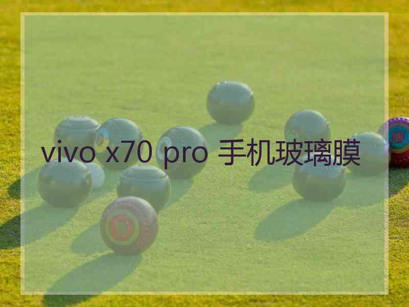 vivo x70 pro 手机玻璃膜