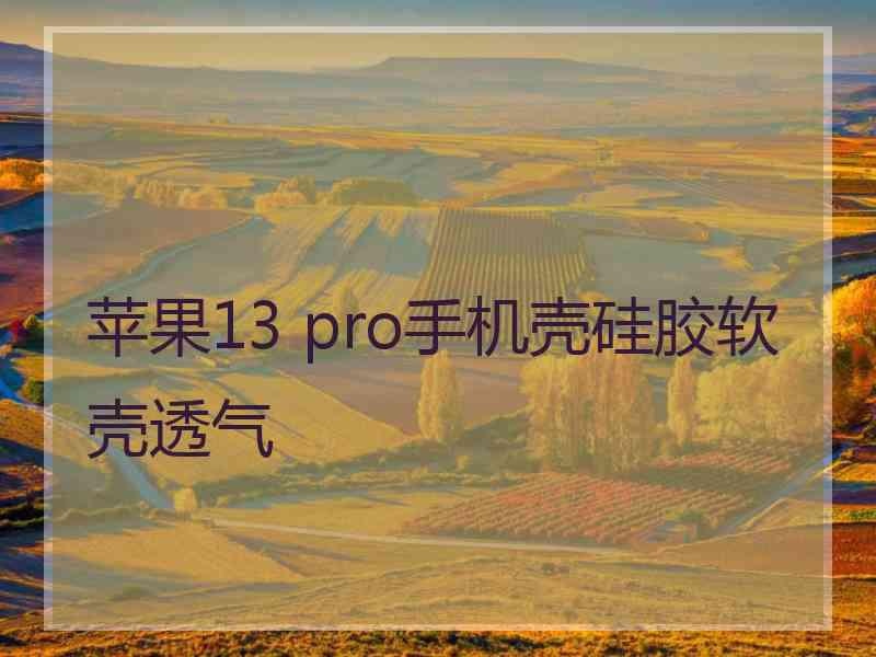 苹果13 pro手机壳硅胶软壳透气