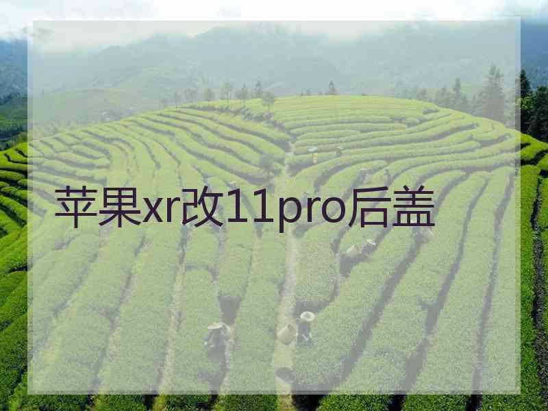 苹果xr改11pro后盖