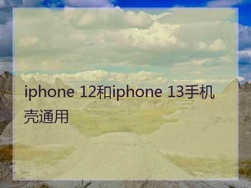 iphone 12和iphone 13手机壳通用