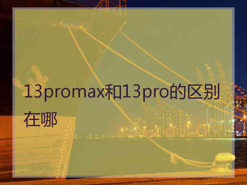 13promax和13pro的区别在哪