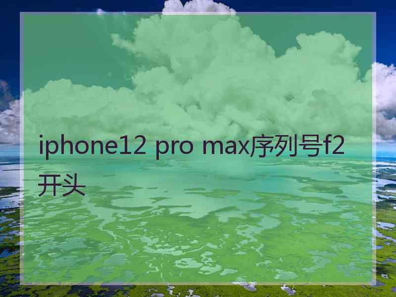 iphone12 pro max序列号f2开头