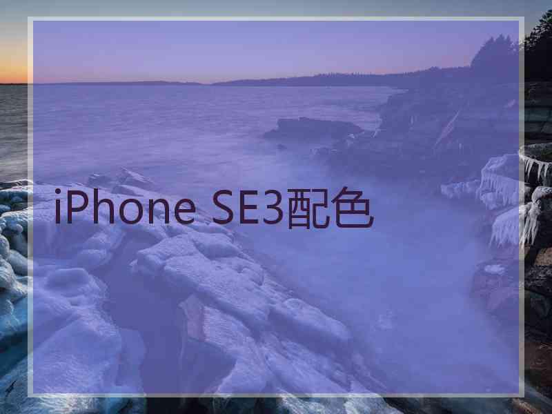 iPhone SE3配色