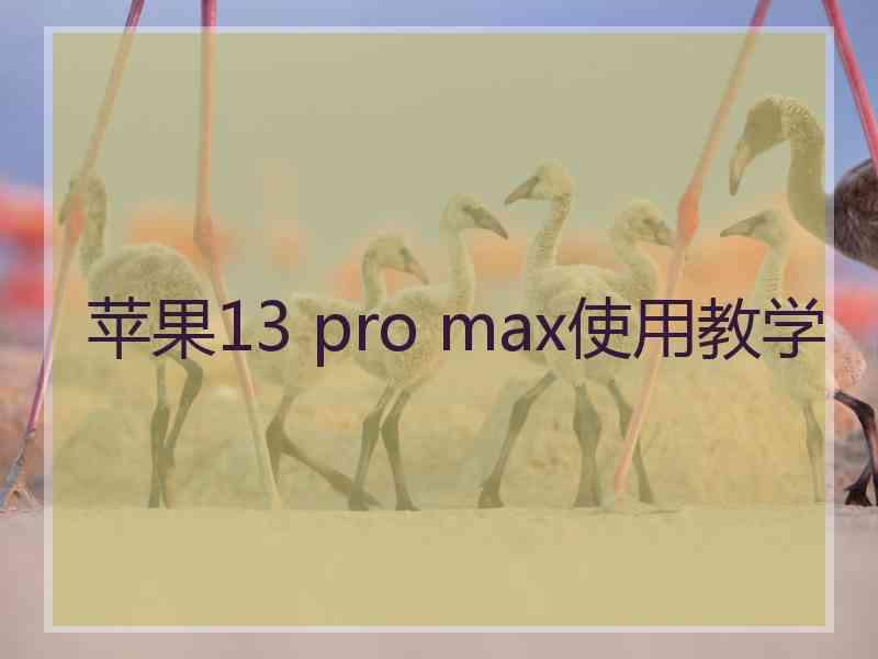 苹果13 pro max使用教学