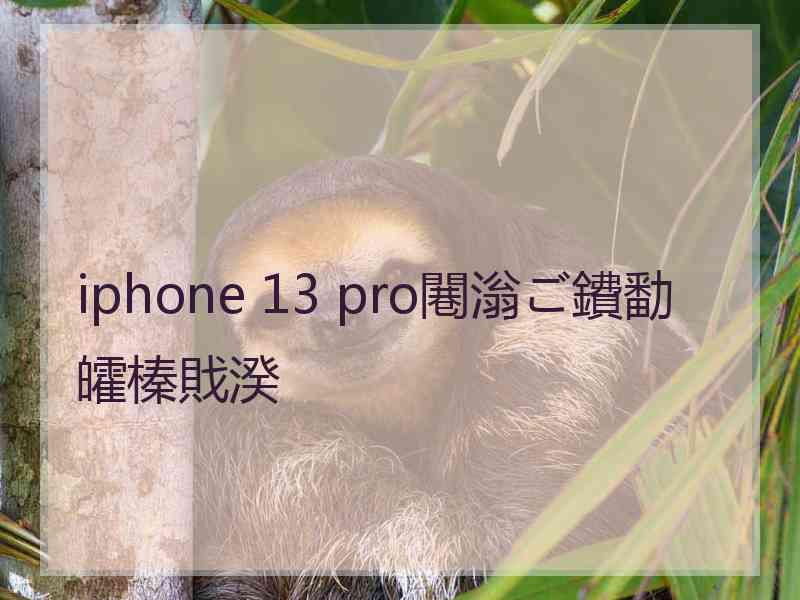 iphone 13 pro闀滃ご鐨勫皬榛戝湀