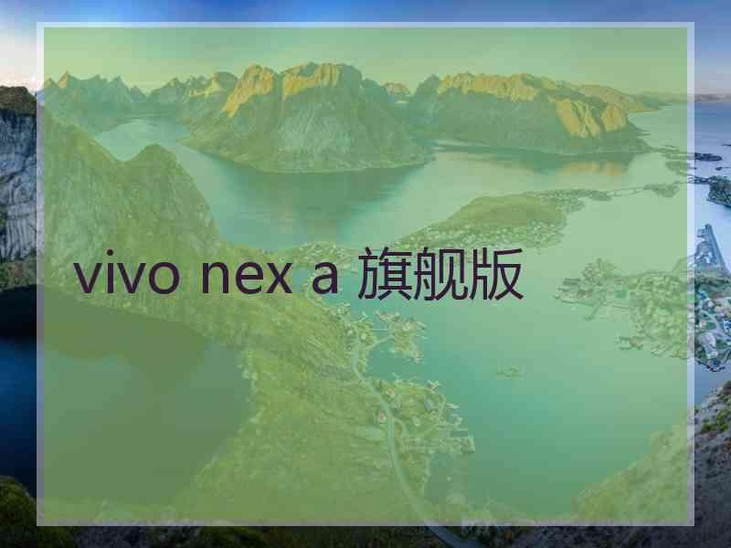 vivo nex a 旗舰版