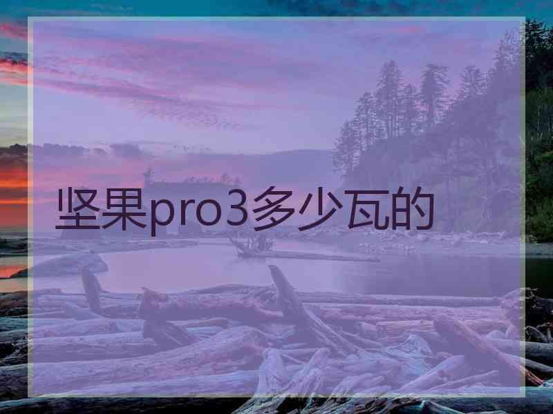 坚果pro3多少瓦的