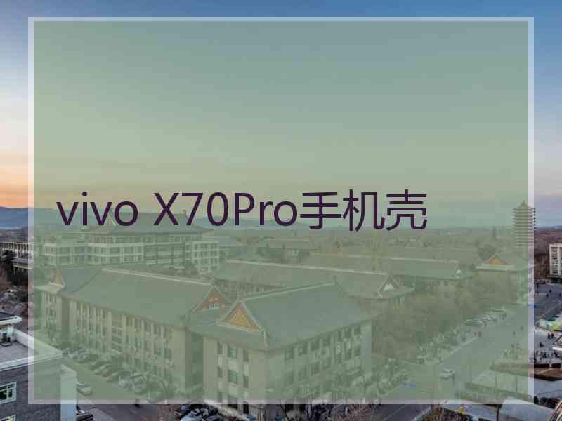 vivo X70Pro手机壳