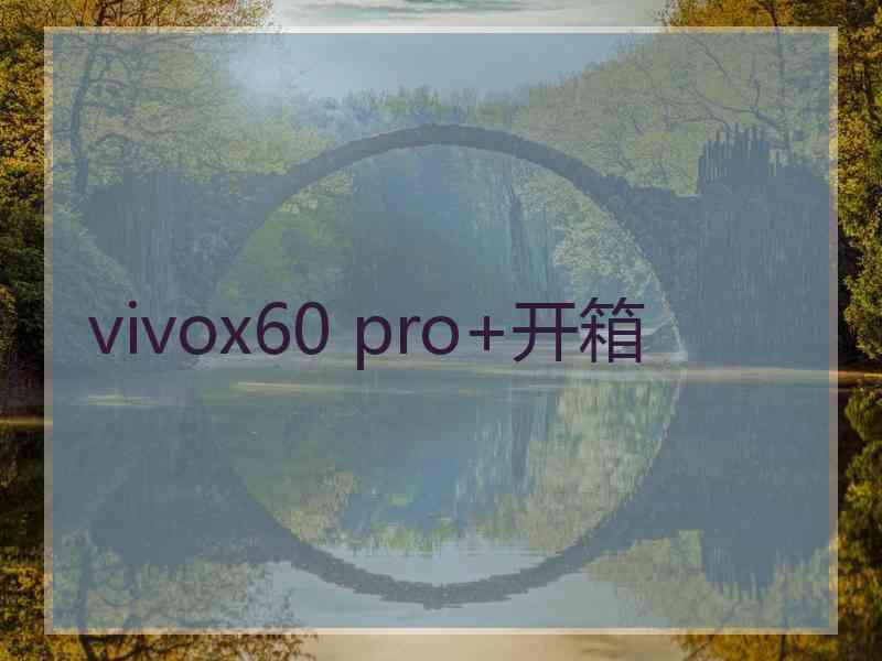 vivox60 pro+开箱