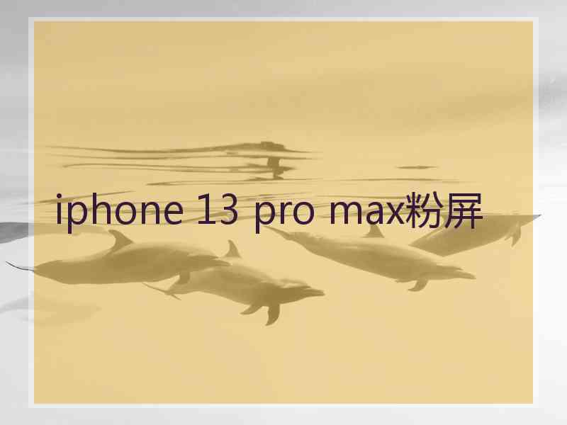 iphone 13 pro max粉屏