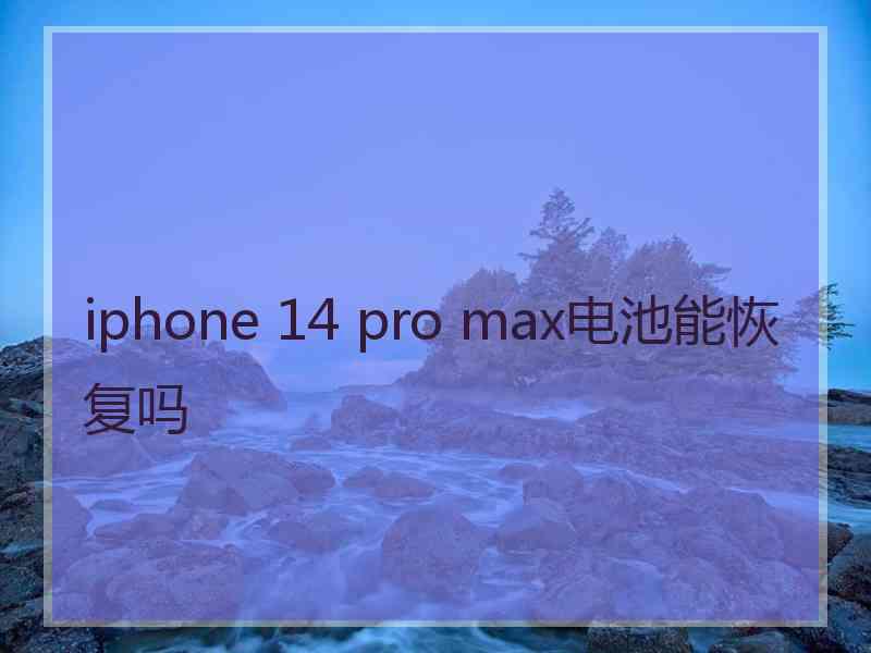 iphone 14 pro max电池能恢复吗