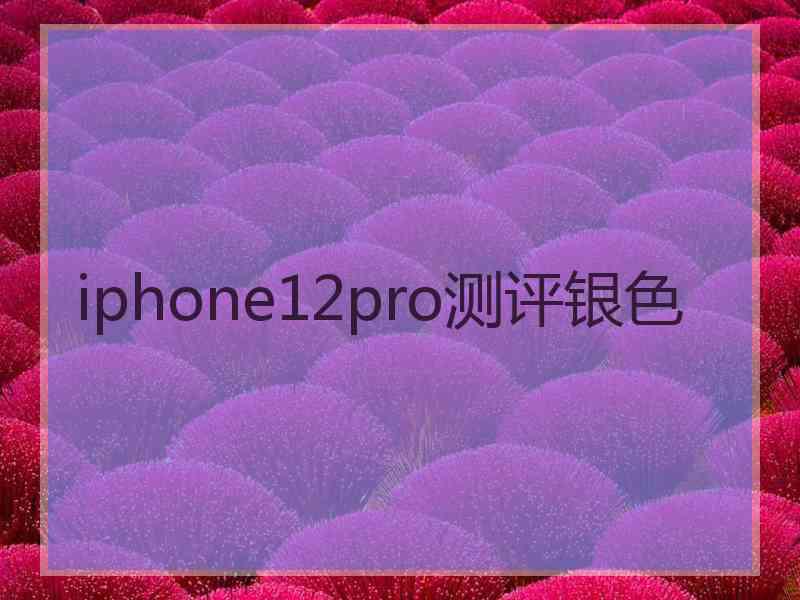 iphone12pro测评银色