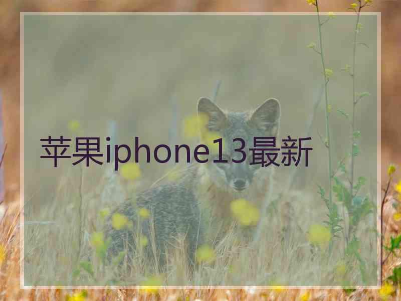 苹果iphone13最新