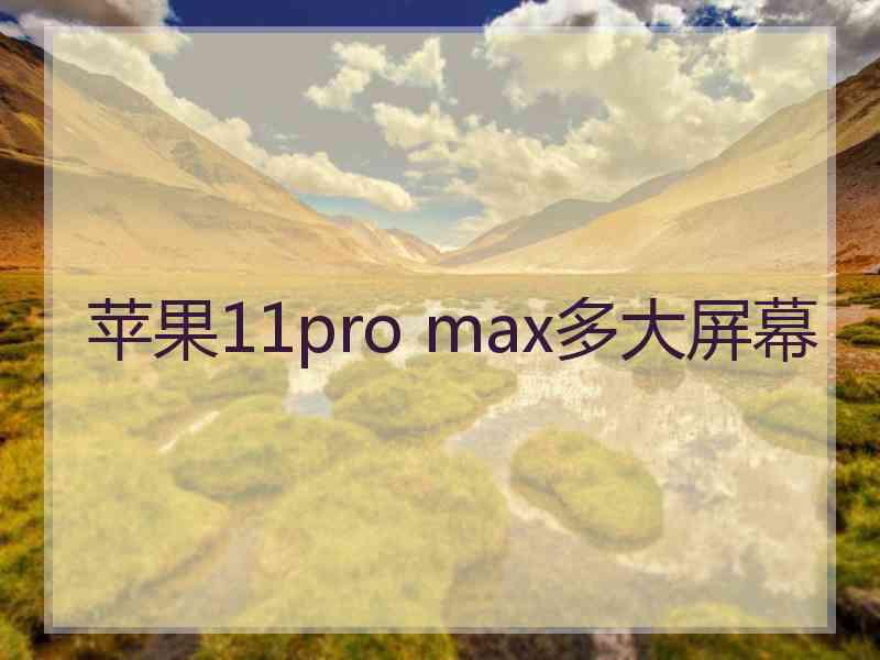 苹果11pro max多大屏幕