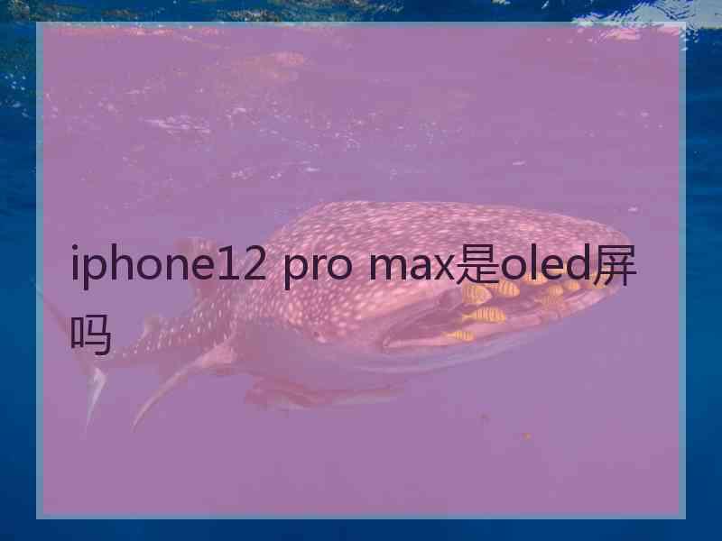 iphone12 pro max是oled屏吗